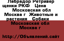 Лабрадор Ретривер щенки РКФ › Цена ­ 50 000 - Московская обл., Москва г. Животные и растения » Собаки   . Московская обл.,Москва г.